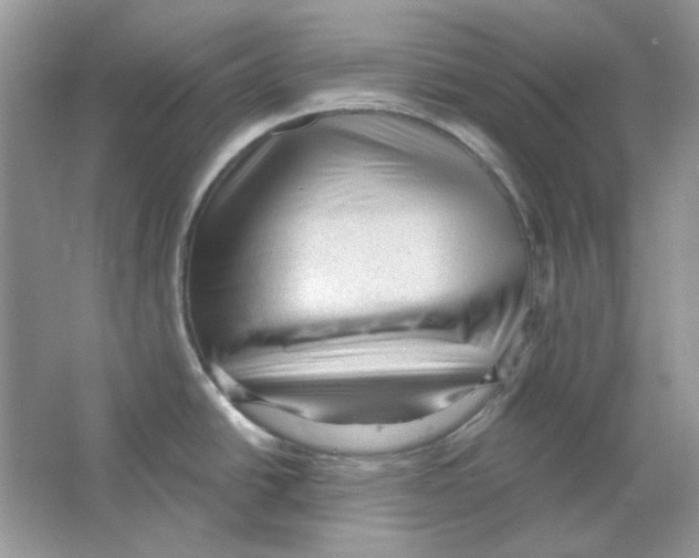 X0000063481438200602172011