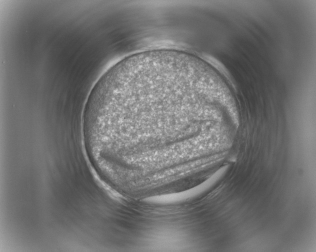 X0000063481439200602172011