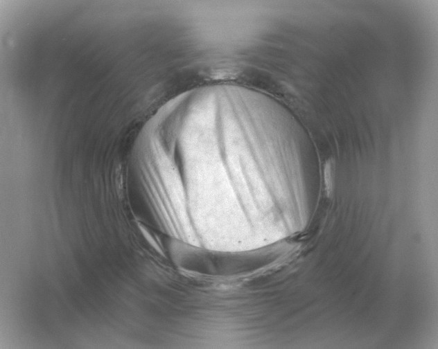 X0000063481443200602172010
