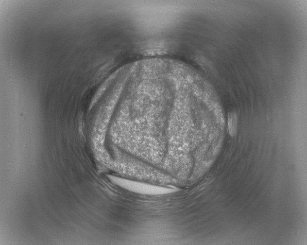 X0000063481444200602172010