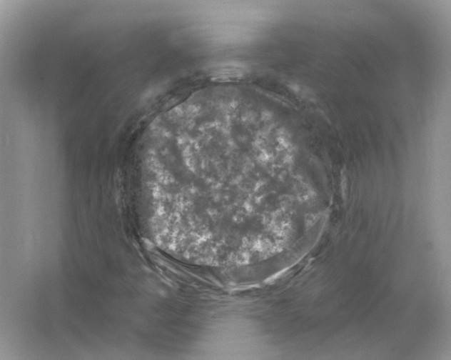 X0000063481445200602172010