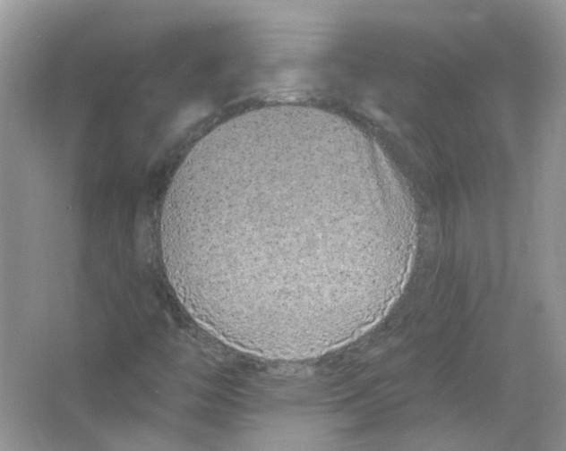 X0000063481446200602172010