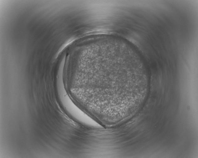 X0000063481450200602172010