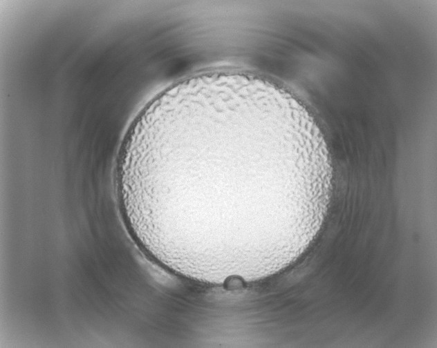 X0000063481474200602172009