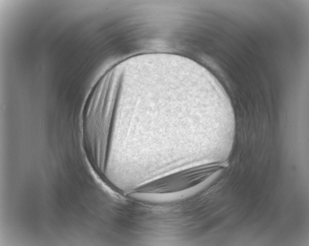 X0000063481479200602172009