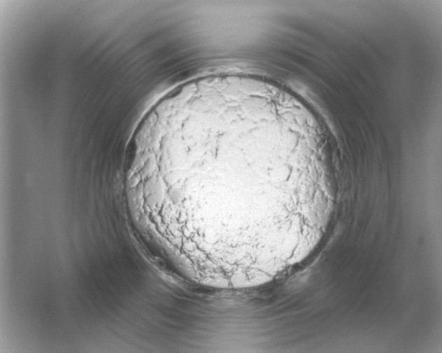 X0000063481481200602172009