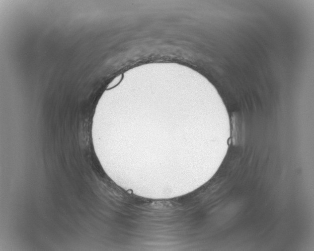 X0000063481491200602172008