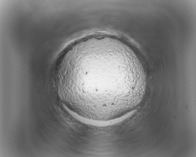 X0000063481496200602172008