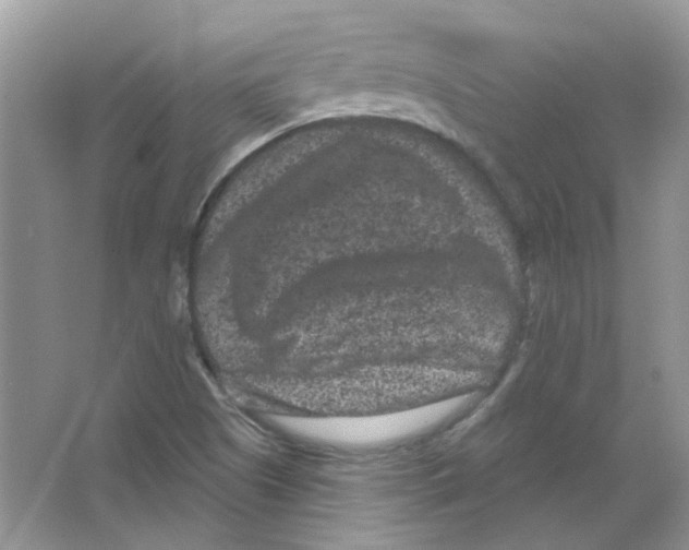 X0000063481505200602172009