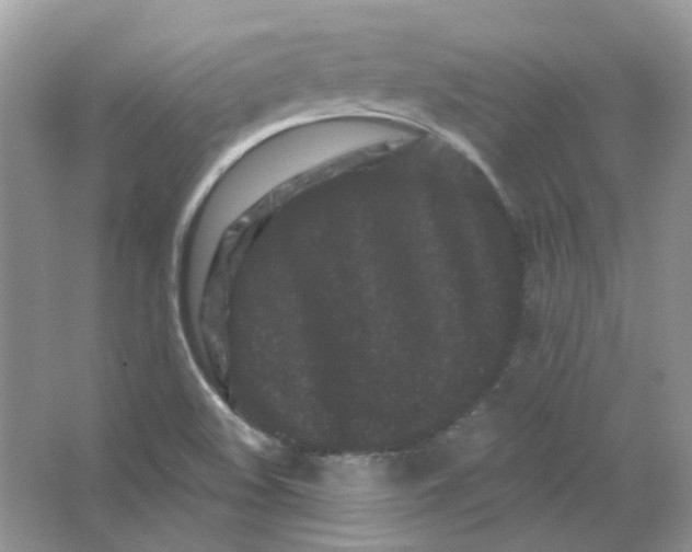 X0000063481508200602172009