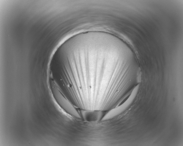X0000063481528200602172009