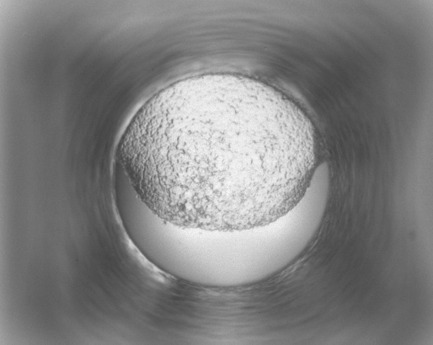 X0000063481532200602172009
