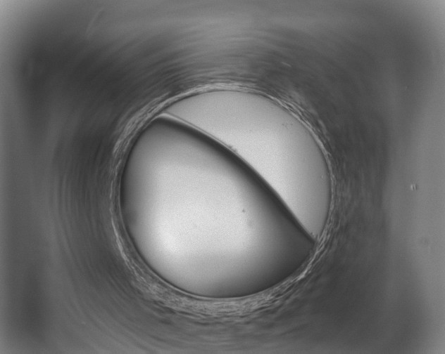 X0000063490001200601201103