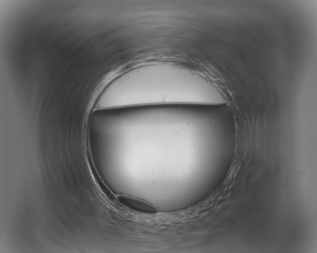 X0000063490003200601201103