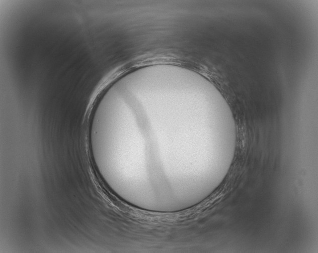 X0000063490004200601201103