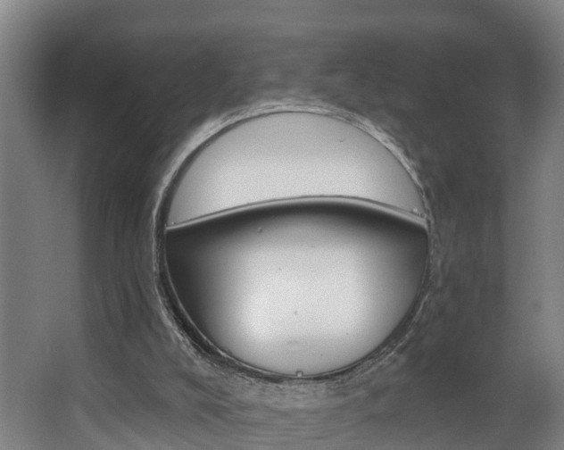 X0000063490008200601201103