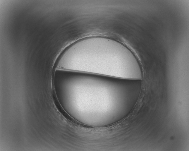X0000063490011200601201103
