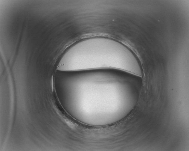 X0000063490013200601201103