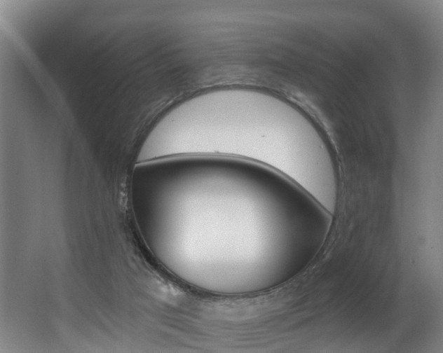 X0000063490017200601201103