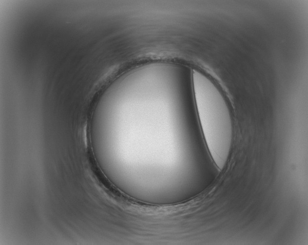 X0000063490019200601201103