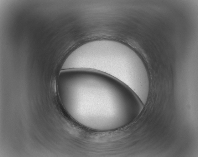 X0000063490021200601201103