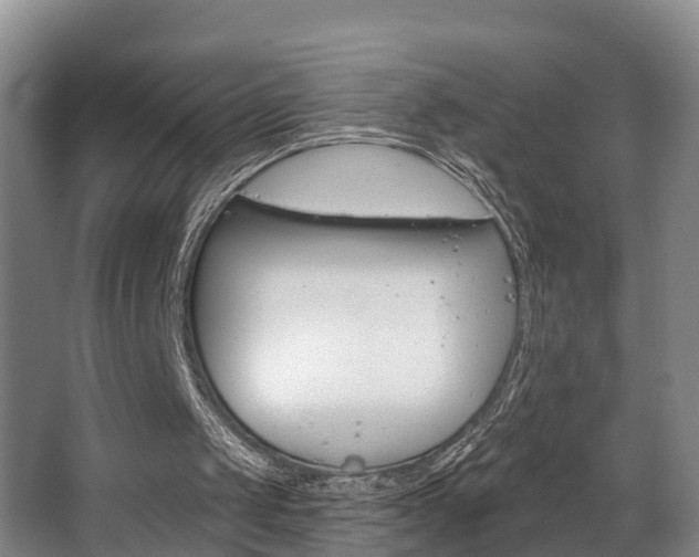 X0000063490049200601201101