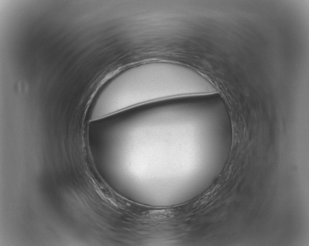 X0000063490050200601201101