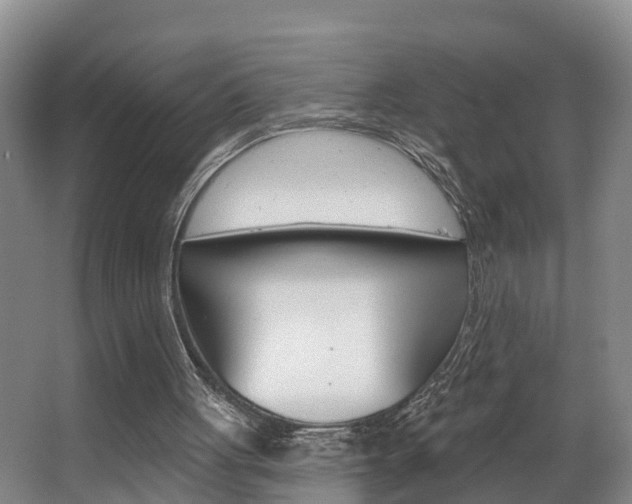 X0000063490051200601201101