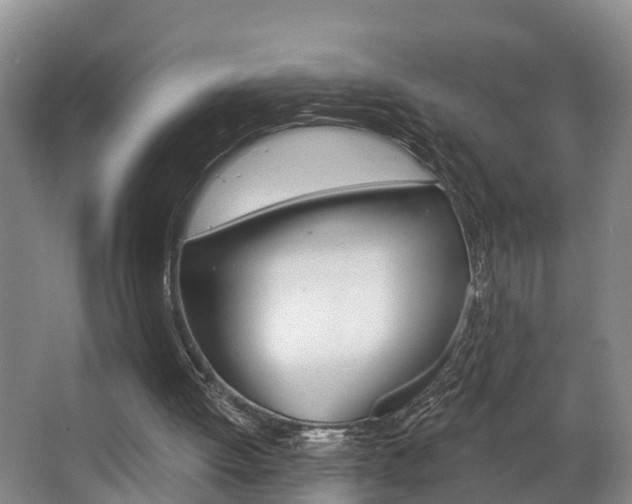 X0000063490052200601201101
