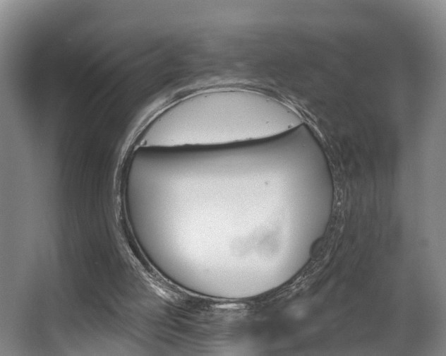 X0000063490053200601201101