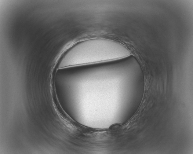 X0000063490054200601201101