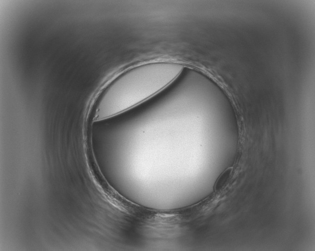 X0000063490055200601201101