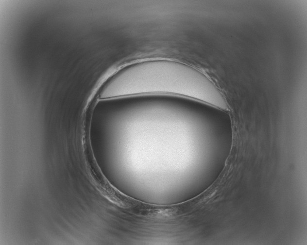 X0000063490056200601201101