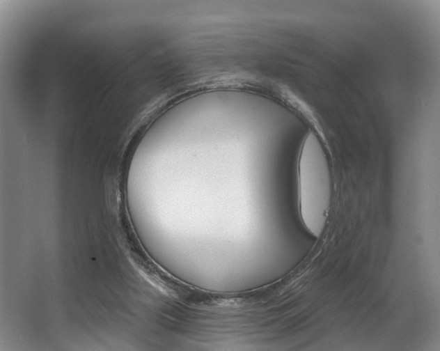 X0000063490059200601201102