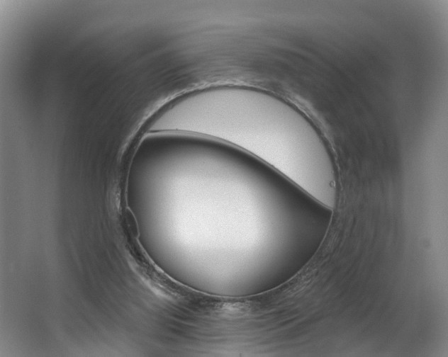 X0000063490060200601201102