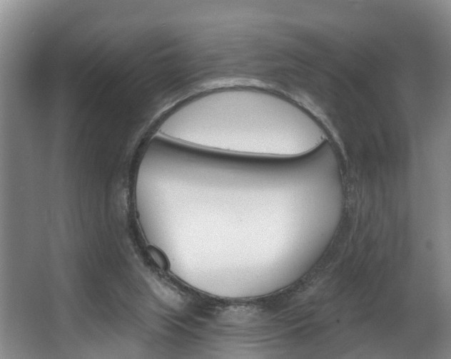 X0000063490063200601201102