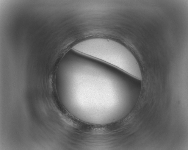 X0000063490066200601201102