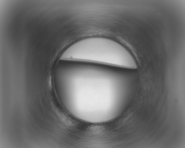 X0000063490067200601201102