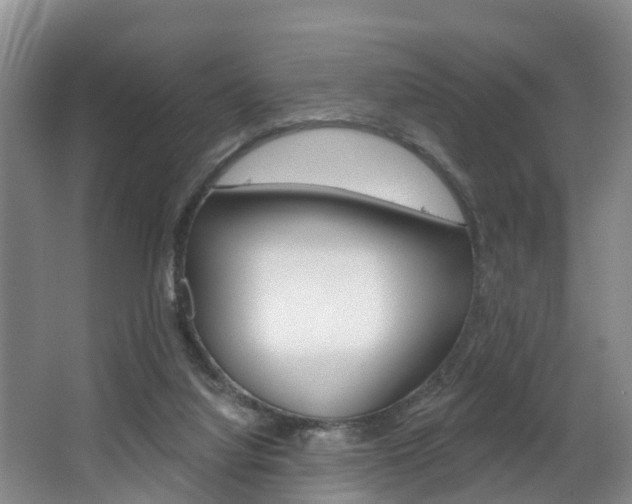 X0000063490068200601201102