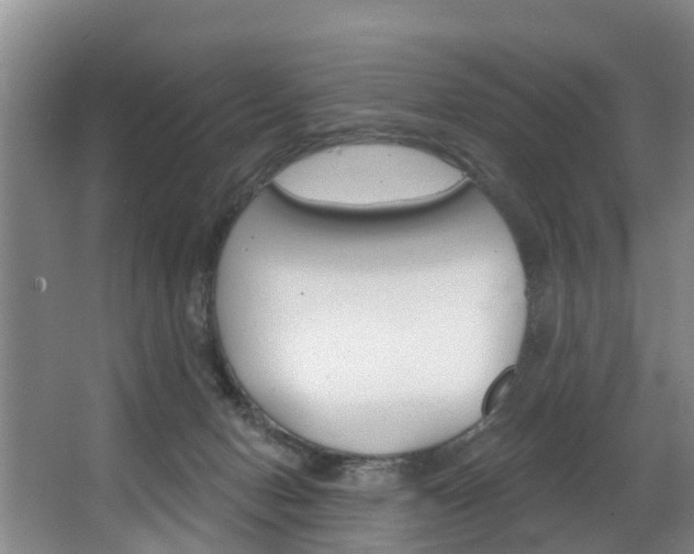 X0000063490078200601201102