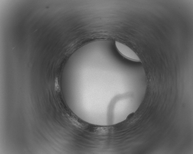 X0000063490089200601201102