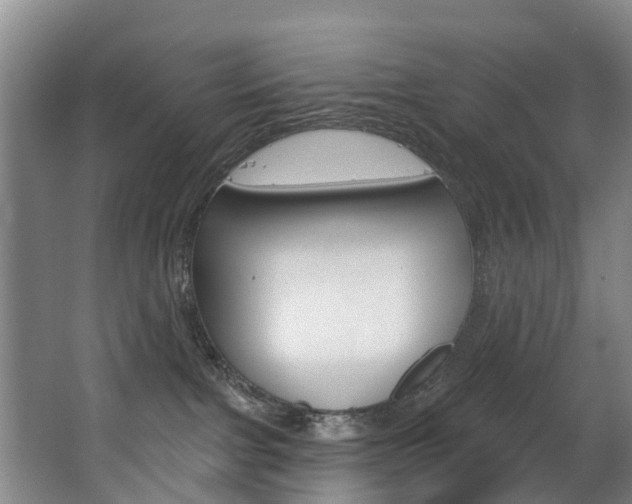 X0000063490091200601201102