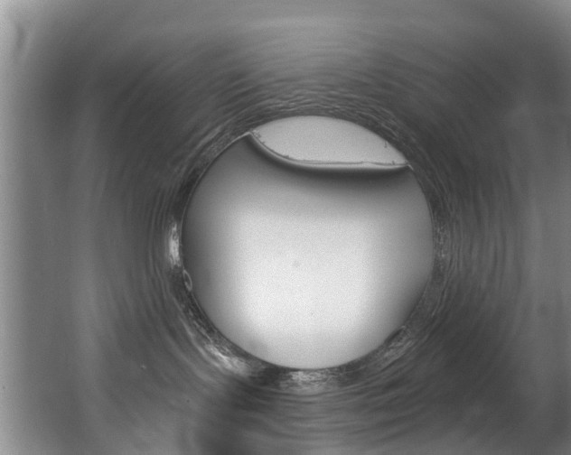 X0000063490095200601201102