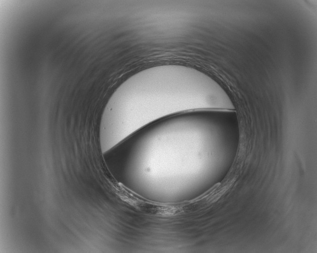 X0000063490096200601201102