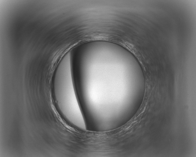 X0000063490097200601201101
