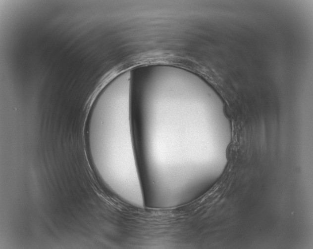 X0000063490099200601201101