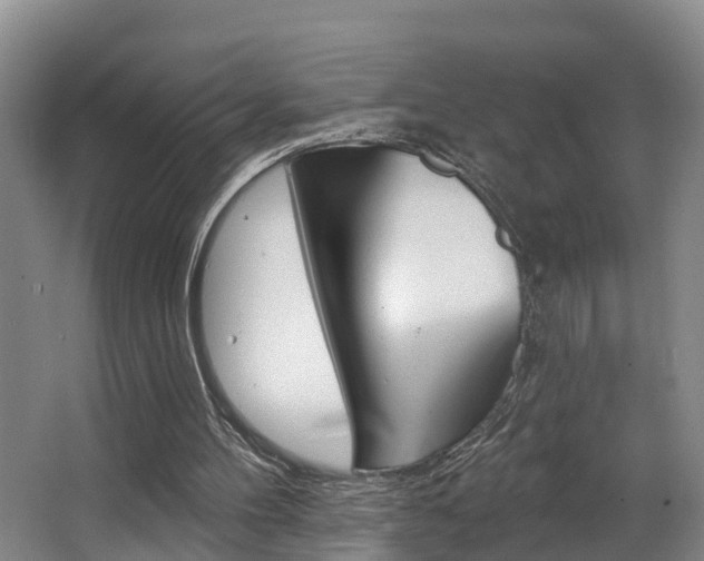 X0000063490100200601201101