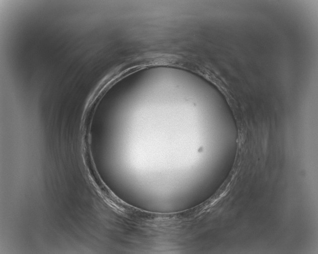 X0000063490101200601201101