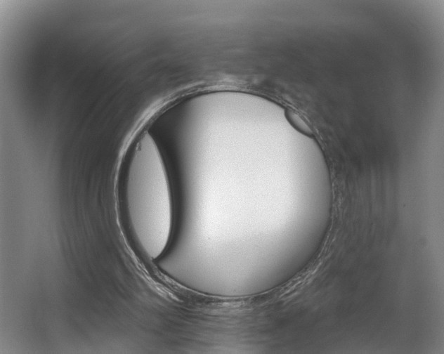 X0000063490102200601201101