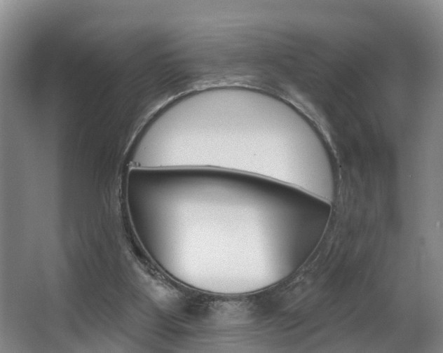 X0000063490107200601201101